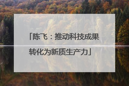 陈飞：推动科技成果转化为新质生产力