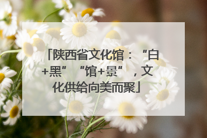 陕西省文化馆：“白+黑”“馆+景”，文化供给向美而聚