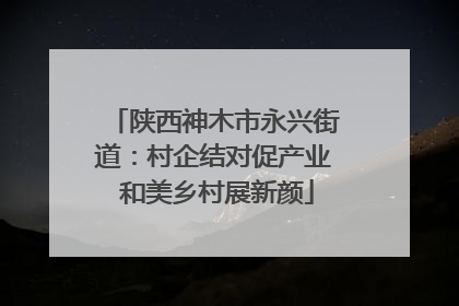 陕西神木市永兴街道：村企结对促产业 和美乡村展新颜