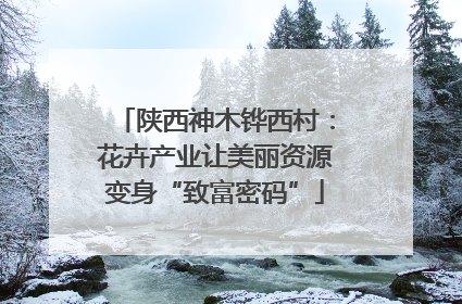 陕西神木铧西村：花卉产业让美丽资源变身“致富密码”