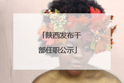 陕西发布干部任职公示