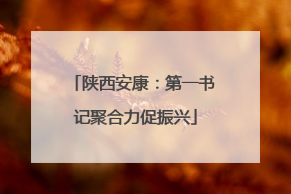陕西安康：第一书记聚合力促振兴