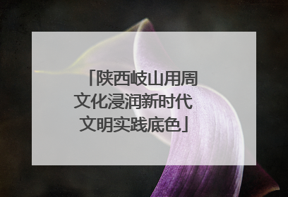 陕西岐山用周文化浸润新时代文明实践底色