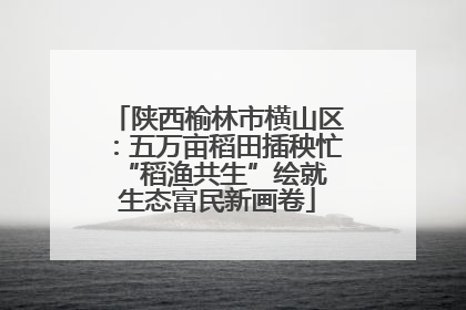 陕西榆林市横山区：五万亩稻田插秧忙 “稻渔共生”绘就生态富民新画卷