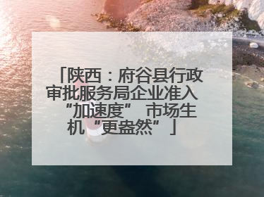 陕西：府谷县行政审批服务局企业准入“加速度” 市场生机“更盎然”