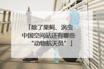 除了果蝇、涡虫 中国空间站还有哪些“动物航天员”