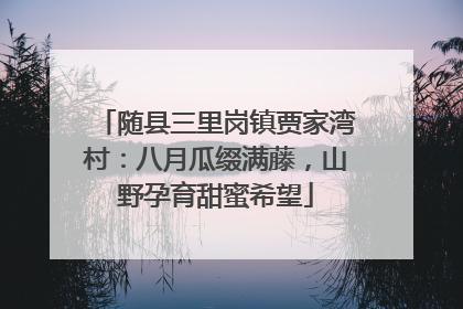 随县三里岗镇贾家湾村：八月瓜缀满藤，山野孕育甜蜜希望