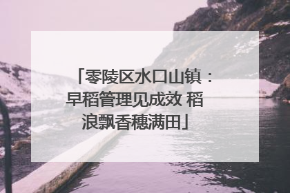零陵区水口山镇：早稻管理见成效 稻浪飘香穗满田