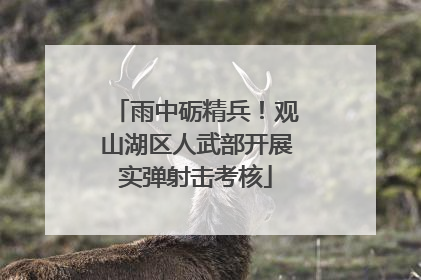 雨中砺精兵！观山湖区人武部开展实弹射击考核