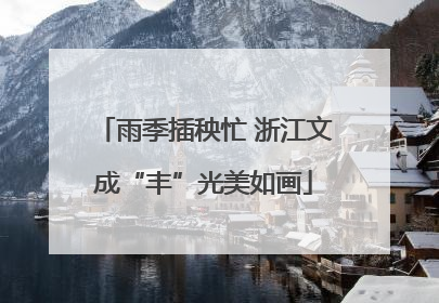 雨季插秧忙 浙江文成“丰”光美如画