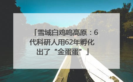 雪域白鸡鸣高原：6代科研人用62年孵化出了“金蛋蛋”