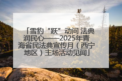 雪豹“跃”动间 法典润民心——2025年青海省民法典宣传月（西宁地区）主场活动见闻