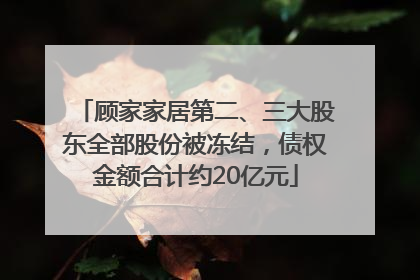顾家家居第二、三大股东全部股份被冻结，债权金额合计约20亿元
