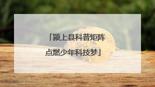 颍上县科普矩阵点燃少年科技梦