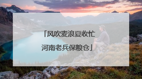 风吹麦浪夏收忙 河南老兵保粮仓