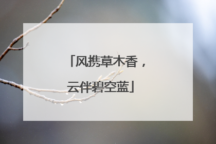 风携草木香，云伴碧空蓝