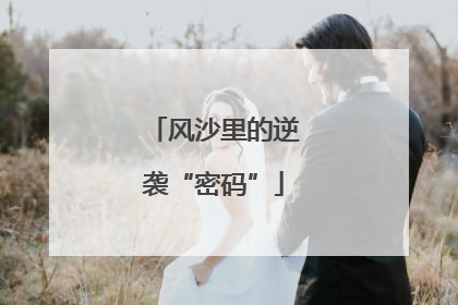 风沙里的逆袭“密码”