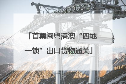 首票闽粤港澳“四地一锁”出口货物通关