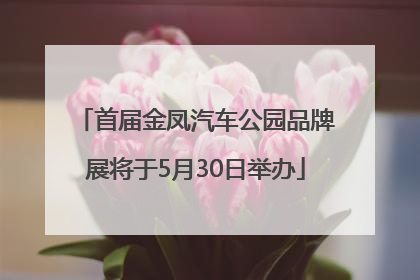 首届金凤汽车公园品牌展将于5月30日举办