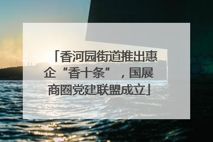 香河园街道推出惠企“香十条”，国展商圈党建联盟成立