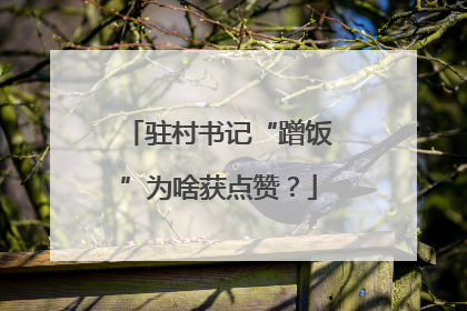 驻村书记“蹭饭”为啥获点赞？
