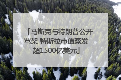 马斯克与特朗普公开骂架 特斯拉市值蒸发超1500亿美元