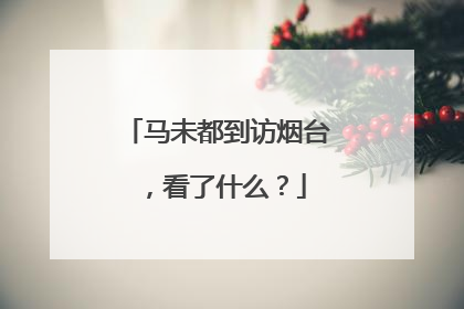 马未都到访烟台，看了什么？