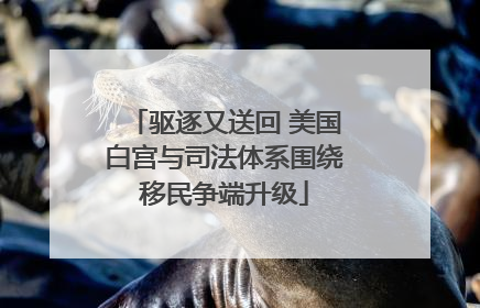 驱逐又送回 美国白宫与司法体系围绕移民争端升级