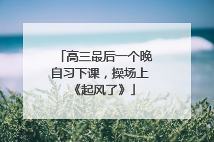 高三最后一个晚自习下课，操场上《起风了》