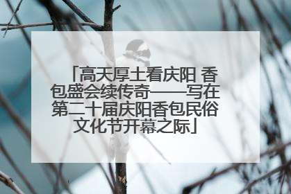 高天厚土看庆阳 香包盛会续传奇——写在第二十届庆阳香包民俗文化节开幕之际