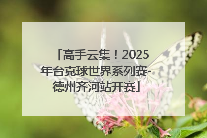 高手云集！2025年台克球世界系列赛-德州齐河站开赛