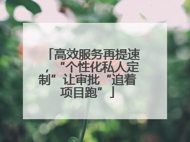 高效服务再提速，“个性化私人定制”让审批“追着项目跑”