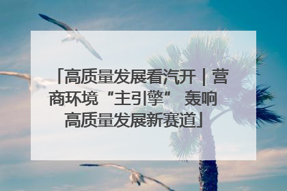 高质量发展看汽开｜营商环境“主引擎” 轰响高质量发展新赛道