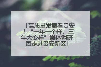 高质量发展看贵安！“一年一个样、三年大变样”媒体调研团走进贵安新区