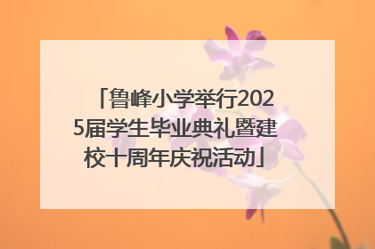 鲁峰小学举行2025届学生毕业典礼暨建校十周年庆祝活动