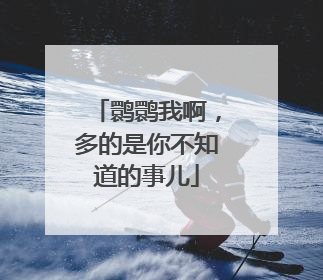 鹮鹮我啊，多的是你不知道的事儿