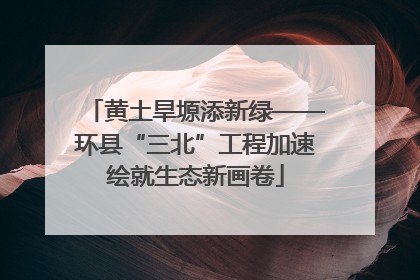 黄土旱塬添新绿——环县“三北”工程加速绘就生态新画卷