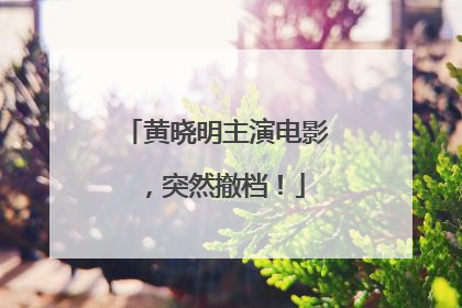 黄晓明主演电影，突然撤档！
