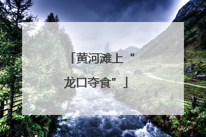 黄河滩上“龙口夺食”