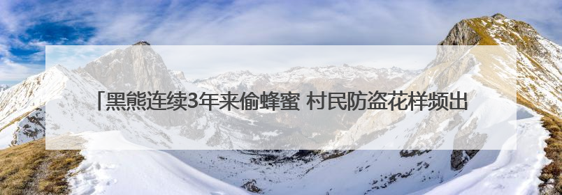 黑熊连续3年来偷蜂蜜 村民防盗花样频出却不伤害：它是保护动物，我有保险兜底