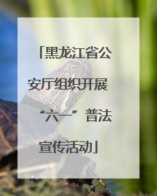 黑龙江省公安厅组织开展“六一”普法宣传活动