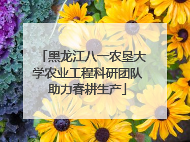黑龙江八一农垦大学农业工程科研团队助力春耕生产