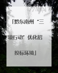 黔东南州“三项行动”优化招投标环境