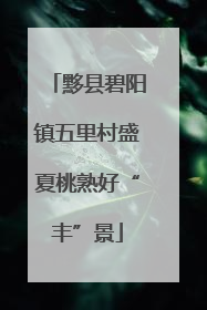 黟县碧阳镇五里村盛夏桃熟好“丰”景