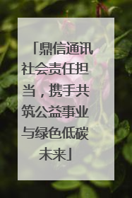 鼎信通讯社会责任担当，携手共筑公益事业与绿色低碳未来
