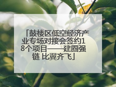 鼓楼区低空经济产业专场对接会签约18个项目——建圈强链 比翼齐飞
