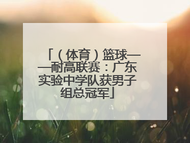 （体育）篮球——耐高联赛：广东实验中学队获男子组总冠军