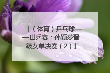 （体育）乒乓球——世乒赛：孙颖莎晋级女单决赛（2）