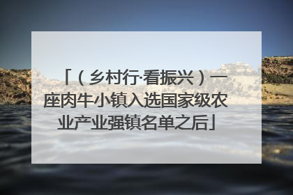 （乡村行·看振兴）一座肉牛小镇入选国家级农业产业强镇名单之后