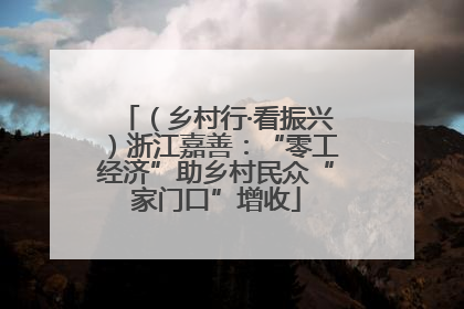 （乡村行·看振兴）浙江嘉善：“零工经济”助乡村民众“家门口”增收